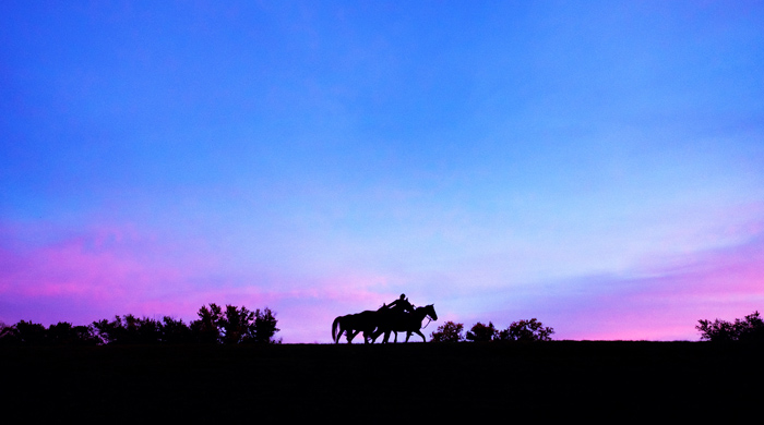 Horses on the Scottsville Dike at Sunset